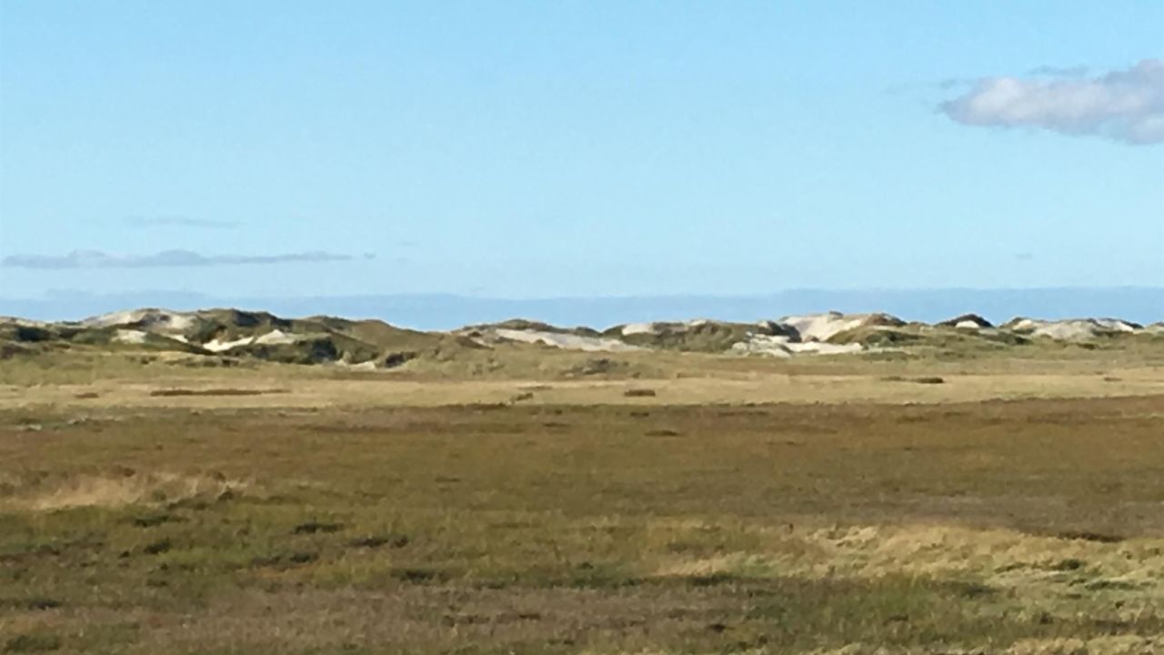 Blick über die Salzwiesen zur Nordsee Blick über die Salzwiesen zur Nordsee